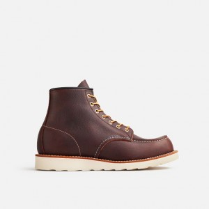 Red Wing 6-Inch Boot in Briar Oil-Slick Leather | ETFC-59320