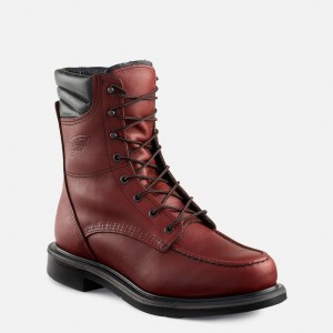 Red Wing 8-inch Soft Toe Boot | DSAC-67149