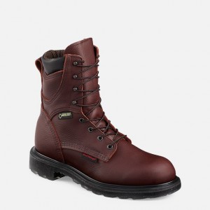 Red Wing 8-inch Waterproof Soft Toe Boot | RZTH-43521