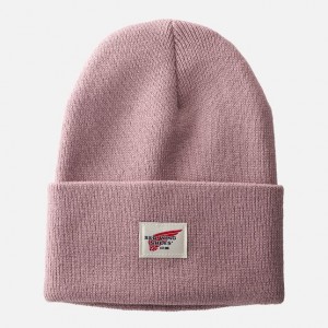 Red Wing Cuffed Beanie Hat in Pale Rose | JYSO-21478