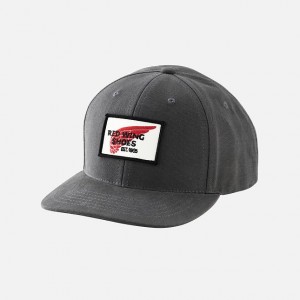 Red Wing Embroidered Logo Ball Cap in Gray | JMTP-65487