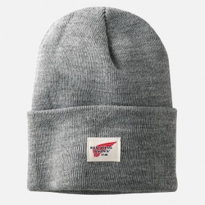 Red Wing Knit Watch Hat in Light Gray Heather | NODG-34690